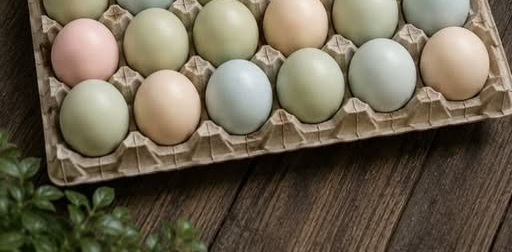 Bandeja de huevos de campo de colores naturales